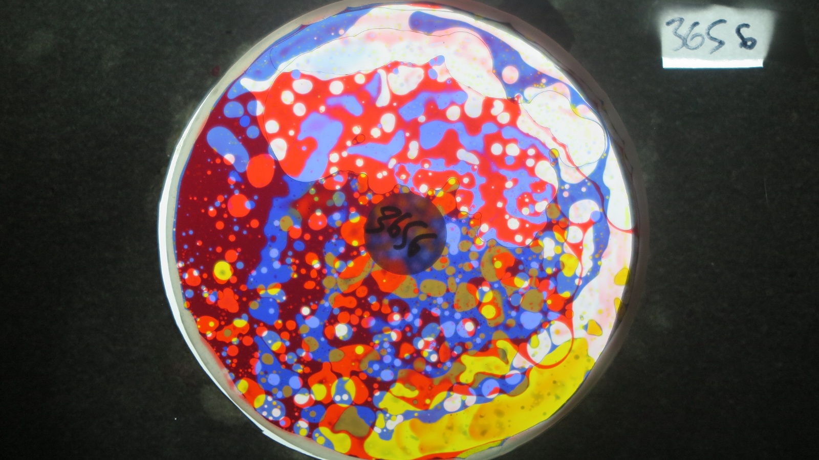 BV3656 bubble vision oil wheel